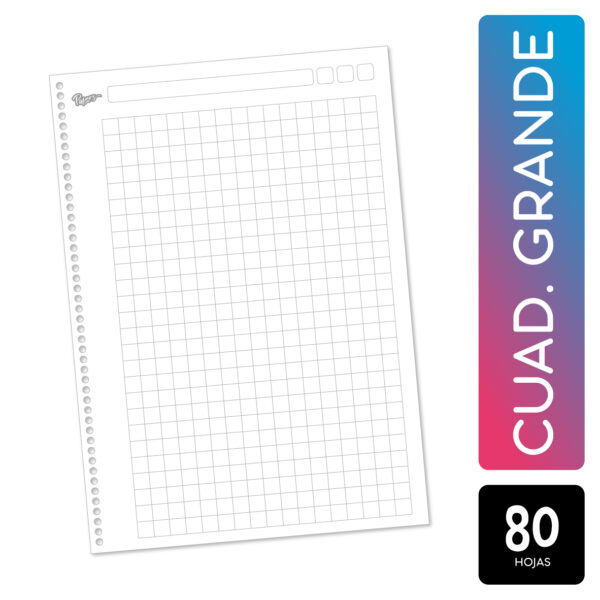 Cuaderno A4 - Azul - Cuadriculado Grande - Imagen 2